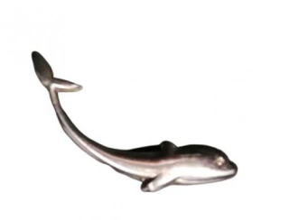 Záušnice - delfín