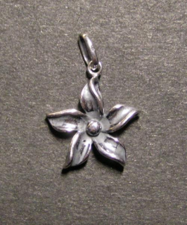 Stříbrný přívěsek - pětilistý květ